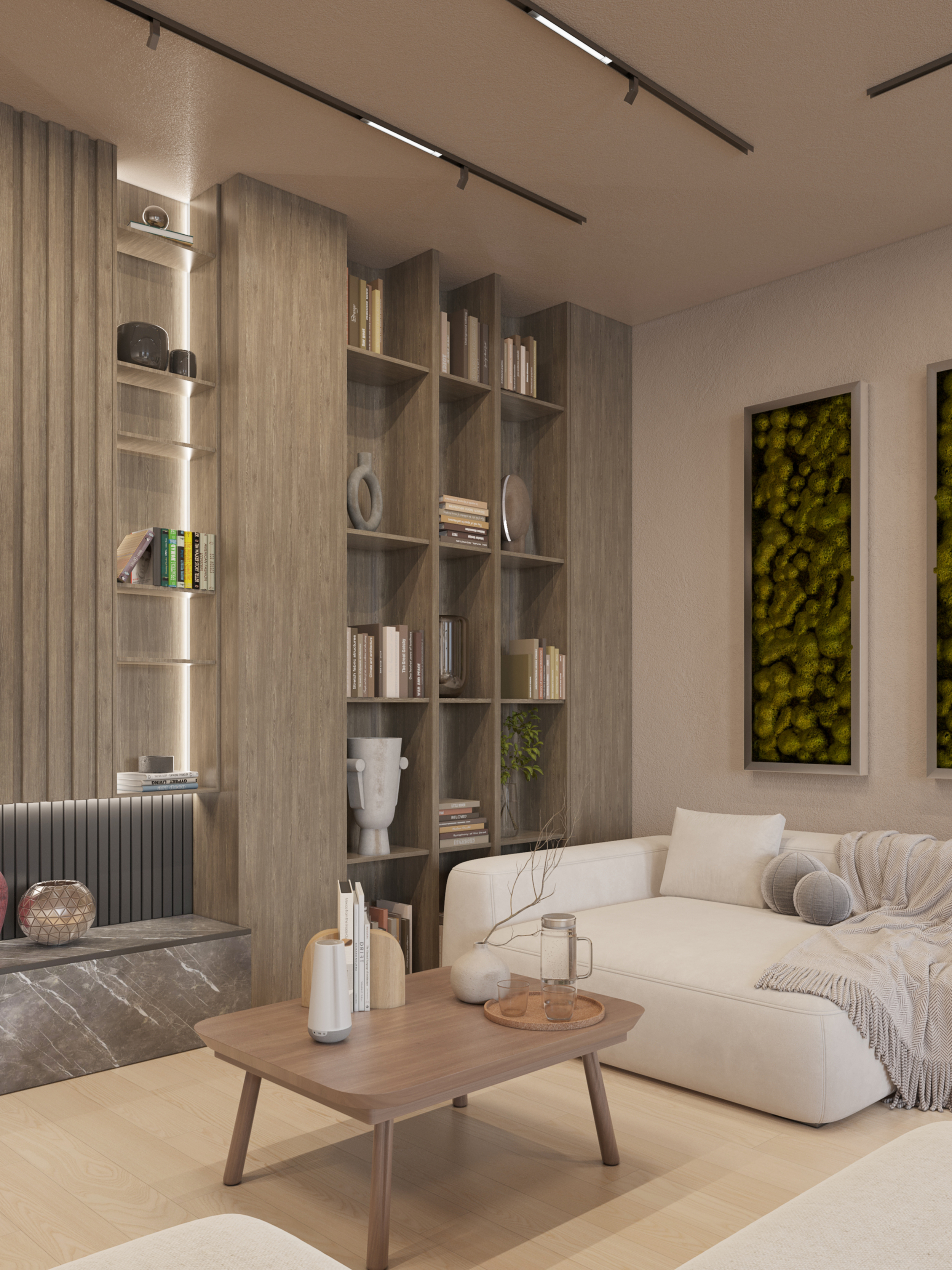 Living room + Kitchen